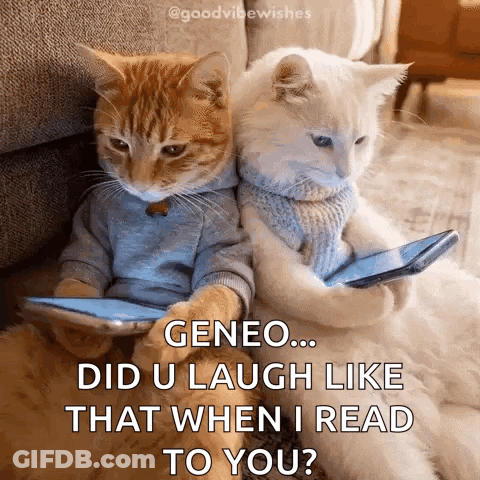 Two Cats In Sweaters Sitting Together GIF