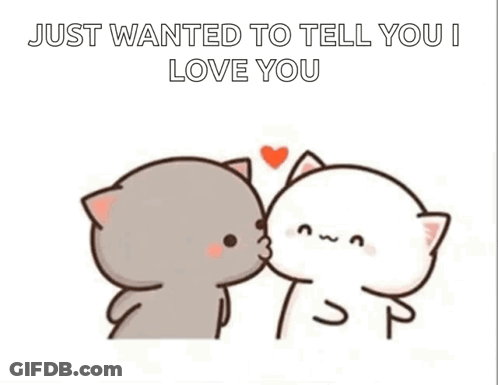 Two Cats Kissing Just Wanted To Tell You I Love You GIF