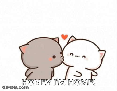 Two Cats Kissing With Flying Heart GIF
