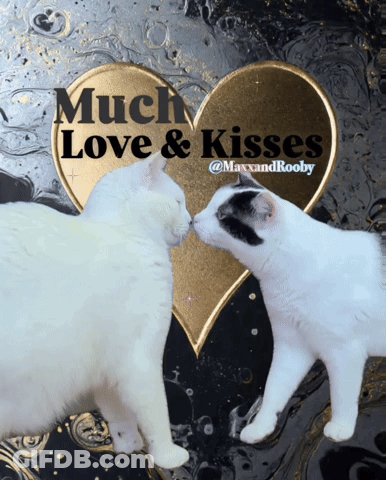 Two Cats Kissing With Heart Saying Much Love And Kisses GIF