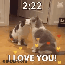 Two Cats Kissing With Hearts GIF