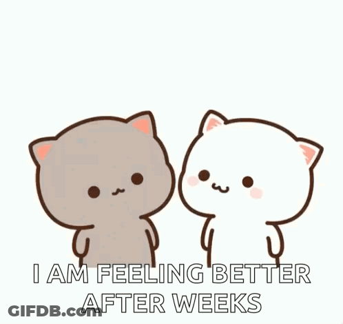 Two Cats Kissing With I Am Feeling Better After Weeks GIF