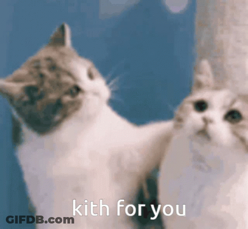 Two Cats Kith For You GIF