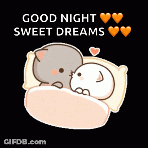 Two Cats Laying In Bed Good Night GIF