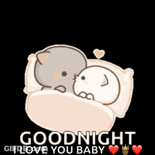 Two Cats Laying In Bed Goodnight I Love You Baby GIF