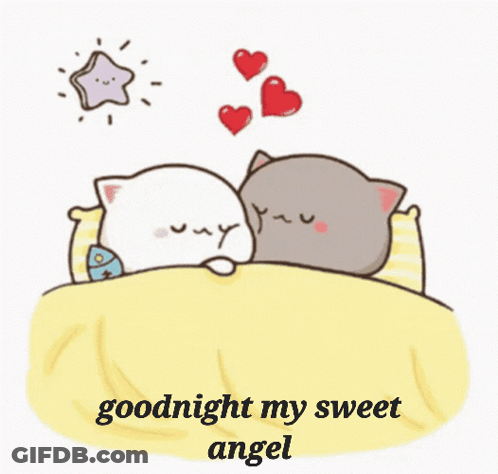 Two Cats Laying In Bed Goodnight My Sweet Angel GIF