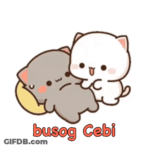 Two Cats Laying Next To Each Other GIF