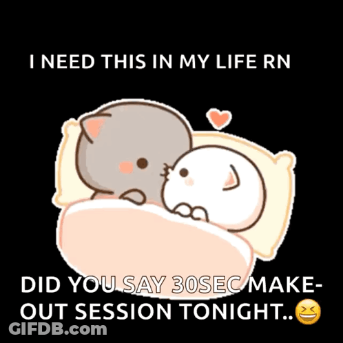 Two Cats Laying Next To Each Other Saying I Need This In My Life GIF