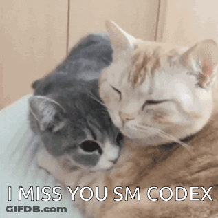 Two Cats Laying Next To Each Other With The Words " I Miss You Sm Codex " On The Bottom GIF