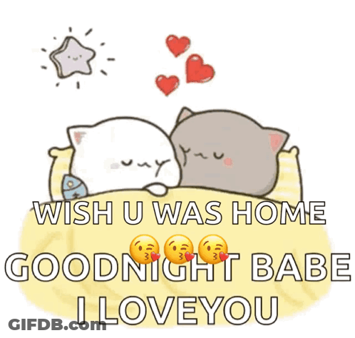 Two Cats Laying On Bed Wish U Was Home Goodnight Babe I Love You GIF