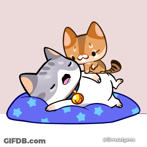 Two Cats Laying On Blue Pillow @Ilovecatgame GIF