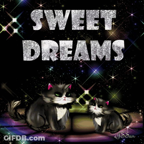 Two Cats Laying On Couch Sweet Dreams GIF