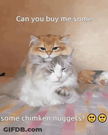 Two Cats Laying On Top Of Each Other Can You Buy Me Some Chimken Nuggets GIF
