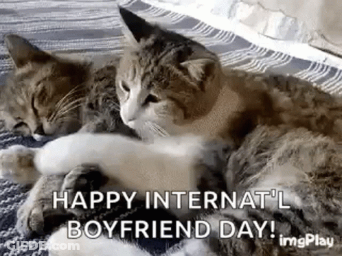 Two Cats Laying On Top Of Each Other On Bed GIF