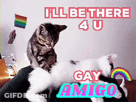 Two Cats Laying On Top Of Each Other With The Words " I 'Ll Be There 4 U Gay Amigo " Above Them GIF