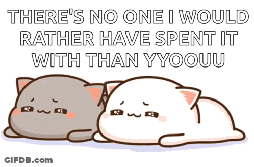 Two Cats Laying There's No One I Would Rather Have Spent It With GIF