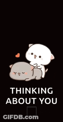 Two Cats Laying Together Thinking About You GIF
