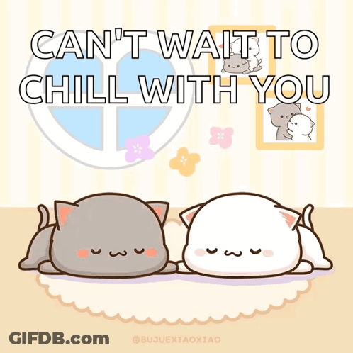 Two Cats Lying Can't Wait To Chill With You GIF
