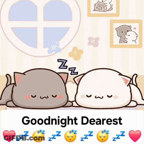 Two Cats Lying Next To Each Other Goodnight Dearest GIF