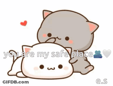 Two Cats Lying Next To Each Other GIF