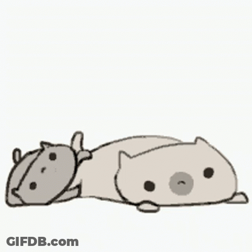 Two Cats Lying Together GIF