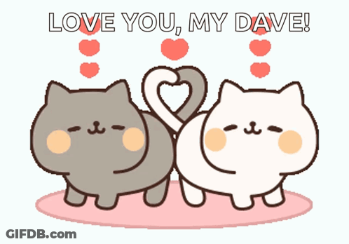 Two Cats Making Heart Shape Love You My Dave GIF