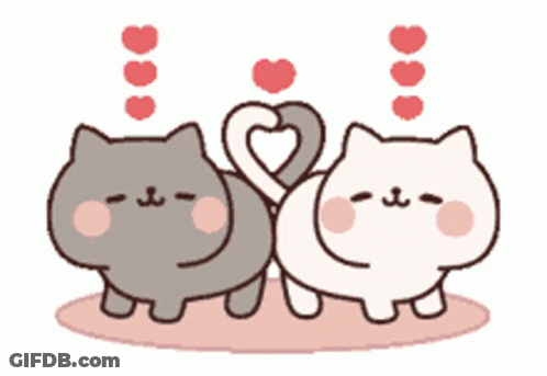 Two Cats Making Heart With Tails GIF