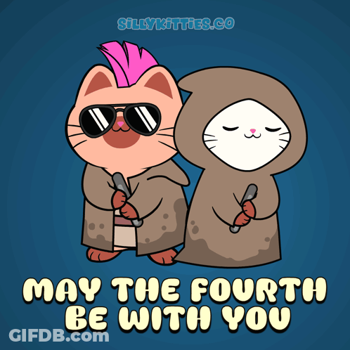 Two Cats May The Fourth Be With You GIF