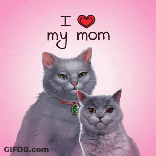 Two Cats On A Pink Background With The Words " I Love My Mom " Above Them GIF
