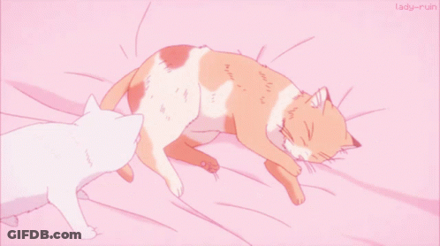 Two Cats On Bed With Lady-Ruiin GIF