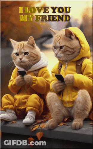 Two Cats On Ledge Looking At Phones I Love You My Friend GIF