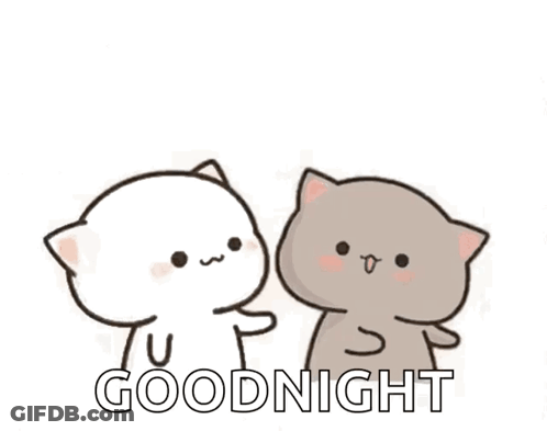 Two Cats One Petting Face GIF