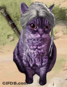 Two Cats, One Saying Demure, Fur Sure GIF