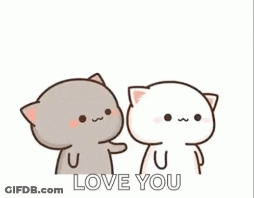 Two Cats One Touching Other's Face GIF