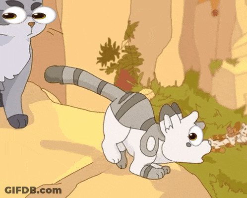 Two Cats One With Number 0 GIF