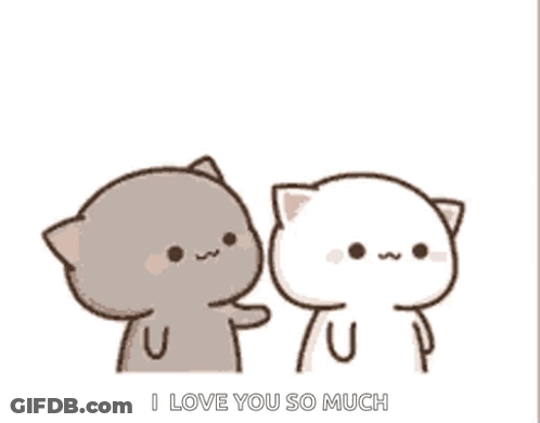 Two Cats Petting Face GIF