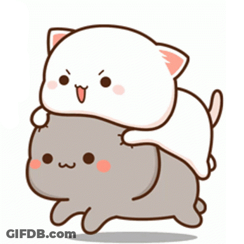 Two Cats Playing GIF