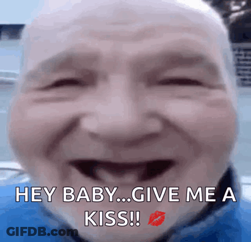 Two Cats Playing GIF