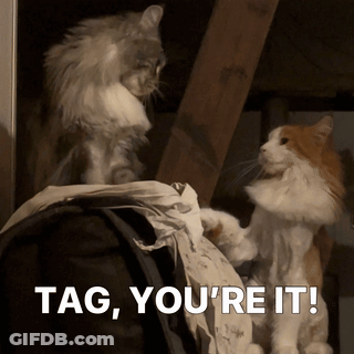 Two Cats Playing With A Piece Of Paper With The Words Tag You 'Re It Below Them GIF