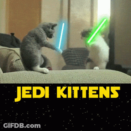 Two Cats Playing With Lightsabers Jedi Kittens GIF