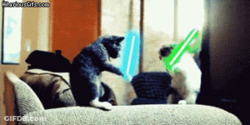 Two Cats Playing With Lightsabers On Couch GIF