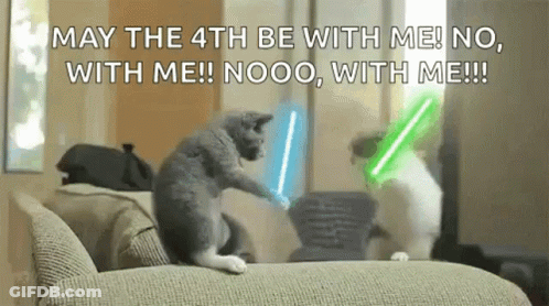 Two Cats Playing With Lightsabers GIF