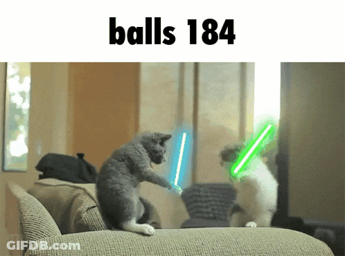 Two Cats Playing With Lightsabers GIF