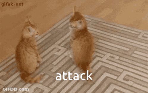 Two Cats Playing With Maze Saying Attack GIF