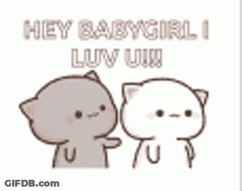 Two Cats Saying Hey Babygirl I Luv You GIF
