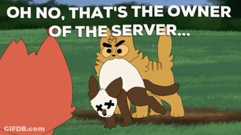 Two Cats Saying Oh No That's The Owner Of The Server GIF