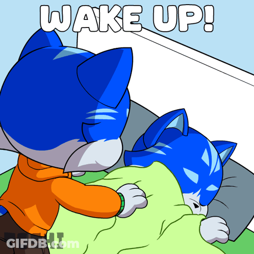 Two Cats Saying Wake Up GIF