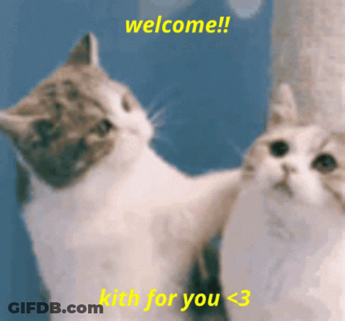 Two Cats Saying Welcome Kith For You GIF