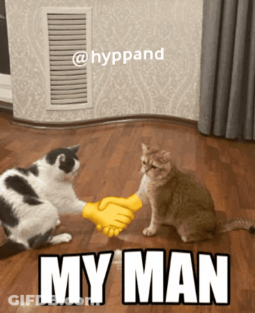 Two Cats Shaking Hands Saying My Man GIF