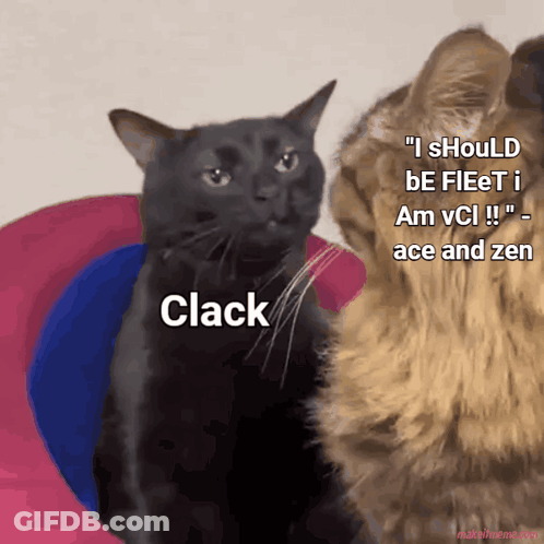 Two Cats Side By Side Saying Clack GIF
